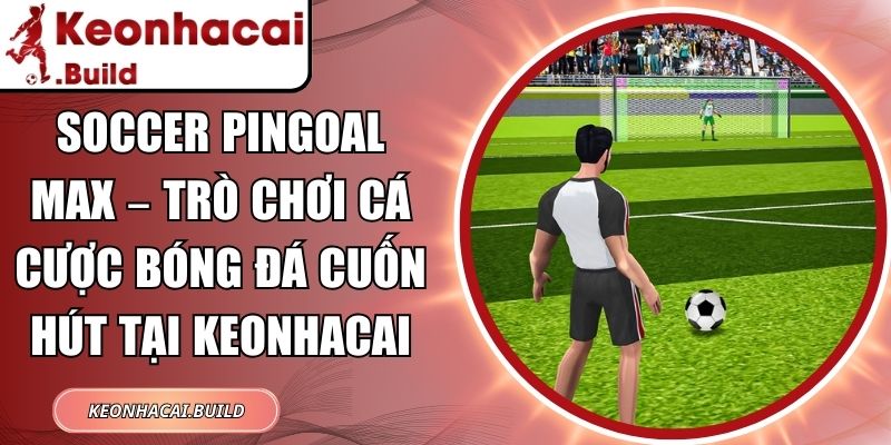 Soccer Pingoal Max