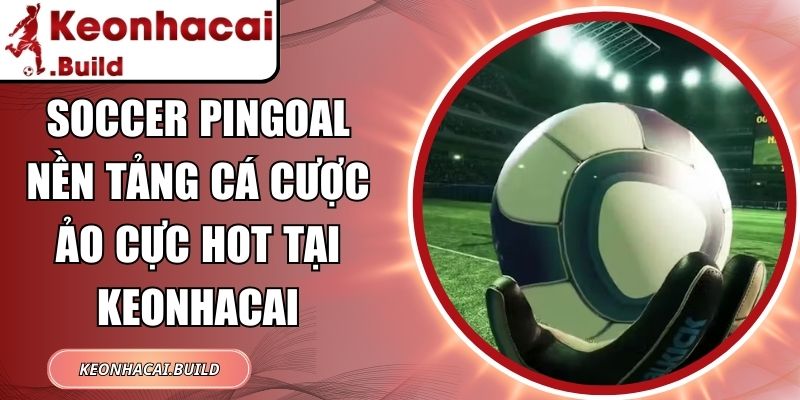 Soccer Pingoal