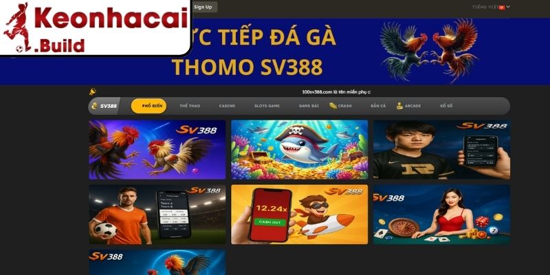 SV388 Có Uy Tín Không? Review Thực Tế Nhà Cái Thể Thao 2 Nền tảng hoạt động với định hướng phát triển