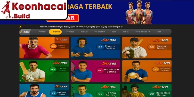 SV388 Có Uy Tín Không? Review Thực Tế Nhà Cái Thể Thao 3 Sự minh bạch trong luật và điều khoản SV388